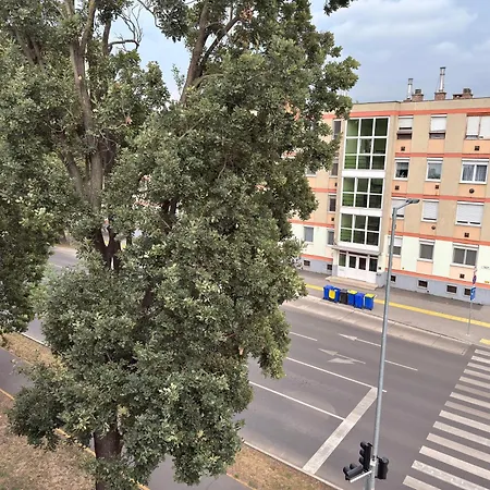 Center & Free Parking *